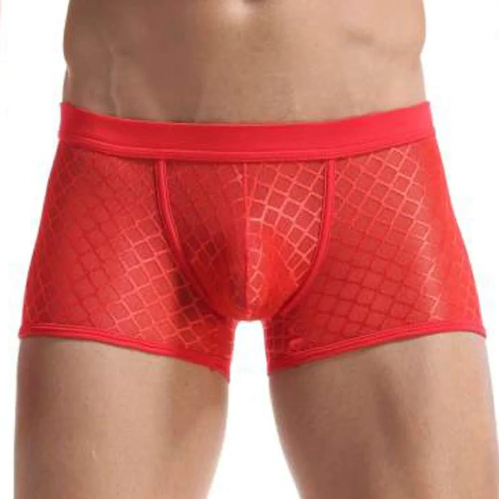 Boxers for Men Men's Sexy Underwear Soft Mesh Open Fly Boxer Briefs