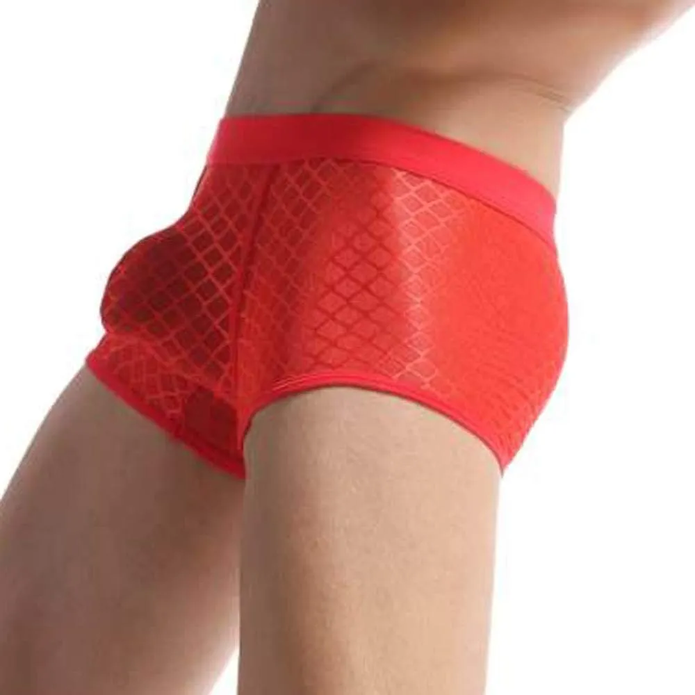 Boxers for Men Men's Sexy Underwear Soft Mesh Open Fly Boxer Briefs