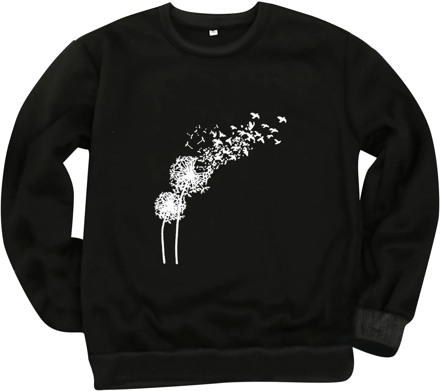 GIERIDUC Womens Sweatshirt Oversized Crew Neck Casual Long Sleeve Tops Cute Fall Outfits Lightweight Loose Fall Clothes