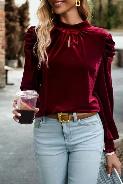 Luxurious Feel Velvet Long Sleeve Blouse