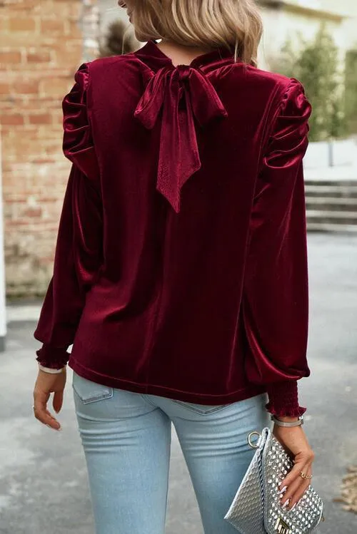 Luxurious Feel Velvet Long Sleeve Blouse