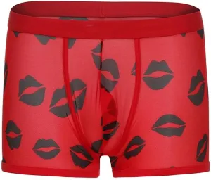 Mens Boxer Briefs Men See Through Mesh Shorts Soft Underpants Transparent Pants Sexy Underwear Trunks for Man Shorts