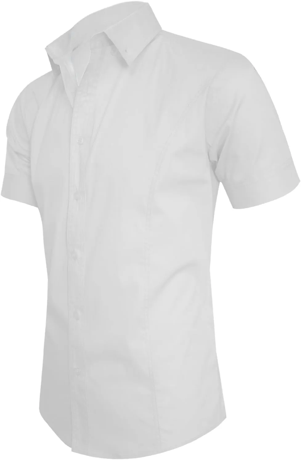 Mens Classic/Regular Fit Wrinkle-Resistant Oxford Dress Shirt