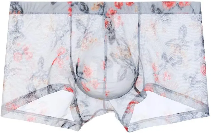 Men's Underwear Covered Waistband Boxer Briefs See Through Support Pouch Panties Comfortable Soft Regular Fit Underwear Trunk
