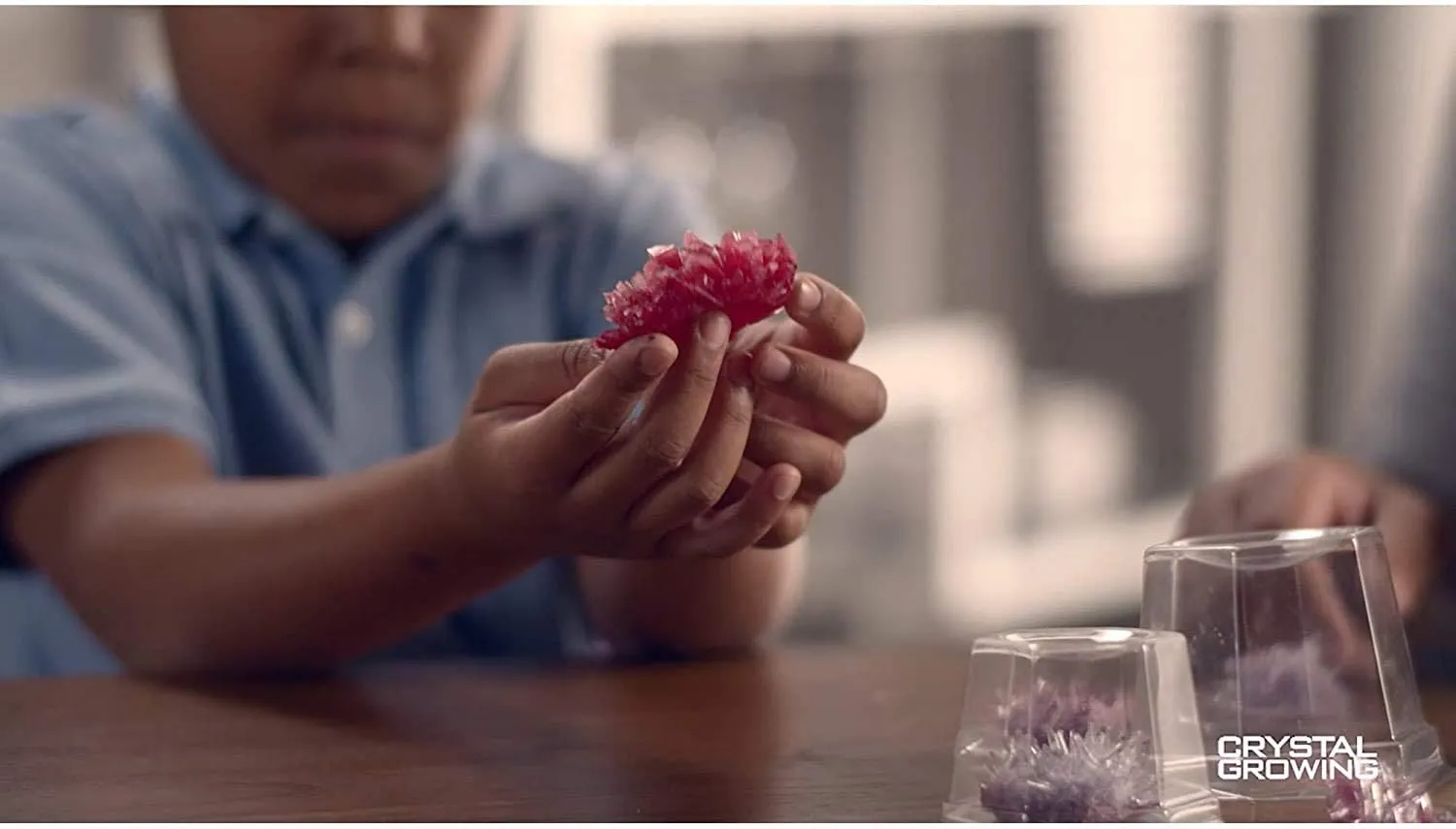 Steam Powered Kids Crystal Science Kit