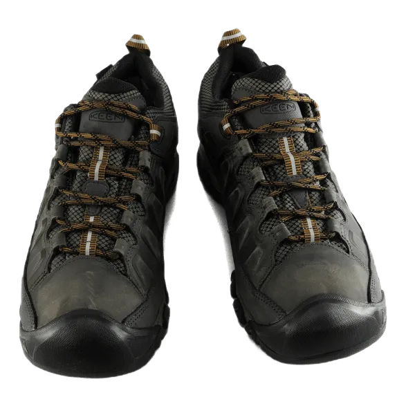 Targhee III Waterproof Black Olive / Golden Brown